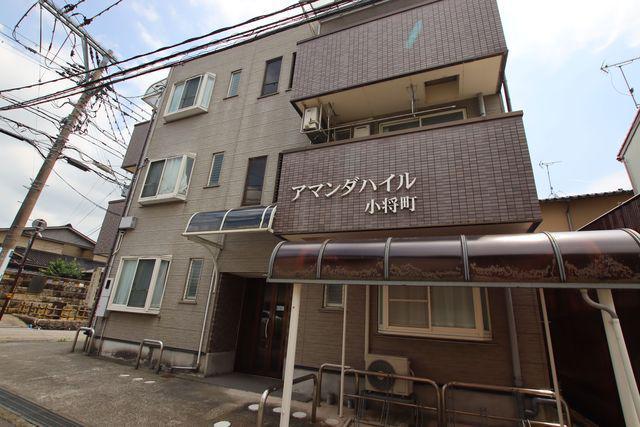 アマンダハイル
