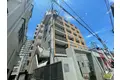 秋桜こすもす