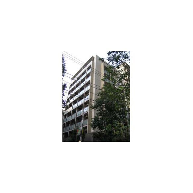 シャリオ本芝