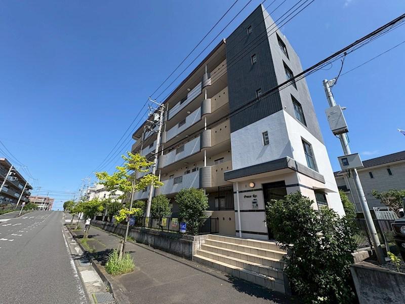 プレイズレイ