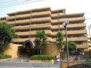 ダイアパレス大橋南弐番館(3LDK/1階)
