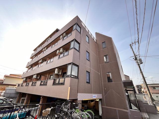 アモール