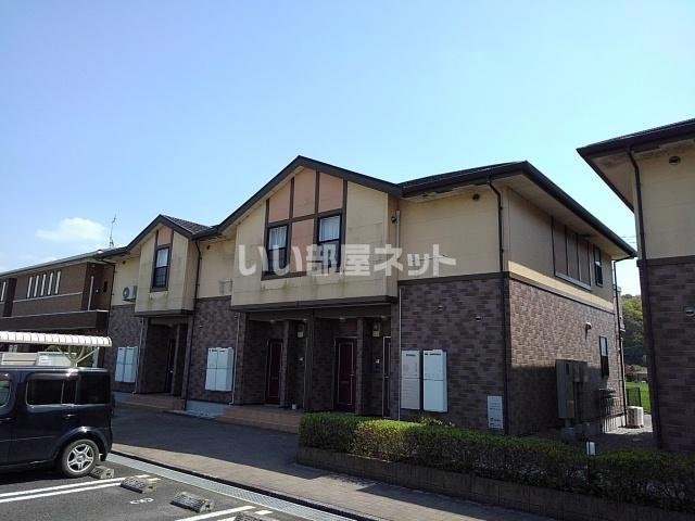カントリーブライト B