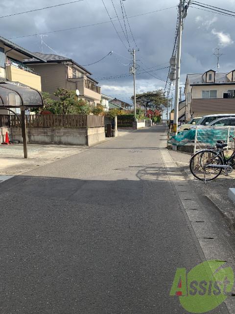 カトレアアベニュー