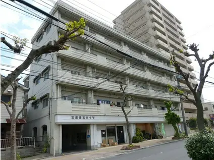 三星児玉ハイツ(3DK/5階)の外観写真