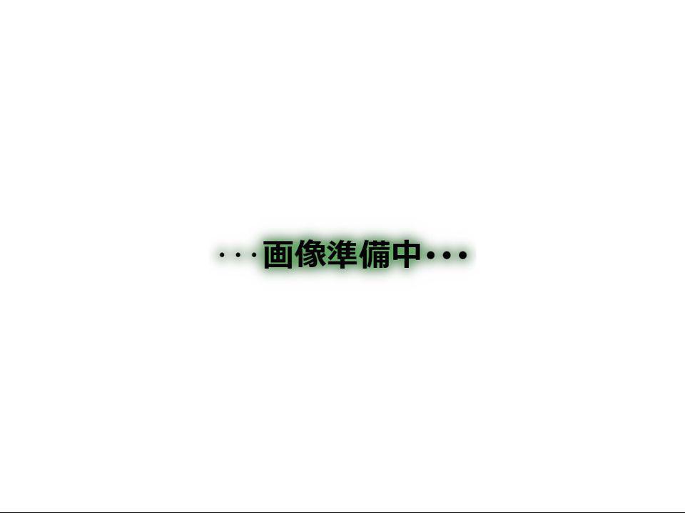 テラスソレイユ亀有