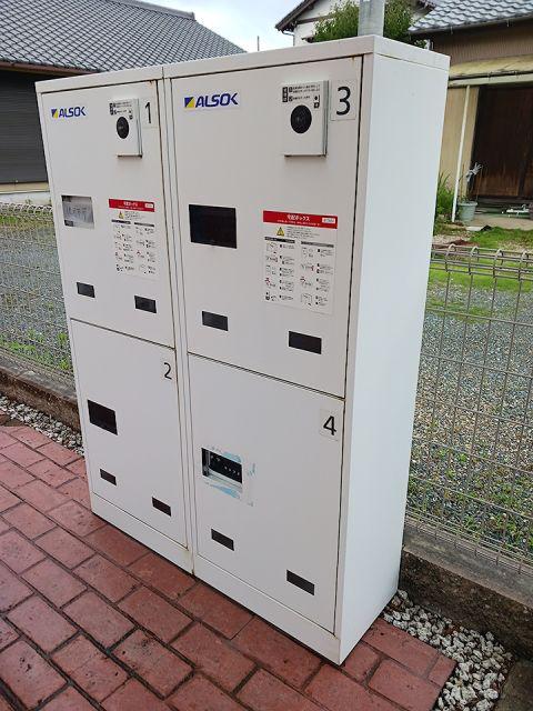 プルメリア