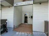 セントポーリア梅園