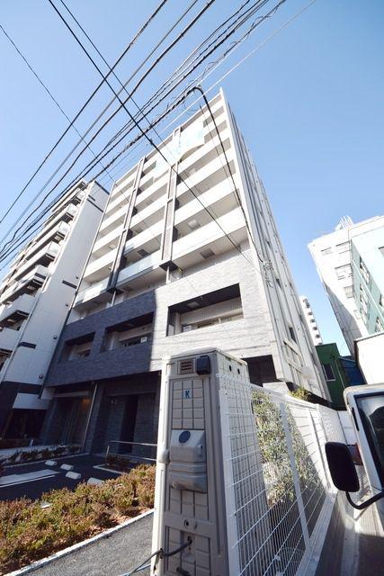 ステラ マリス