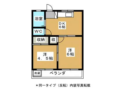 コーポ温井(2DK/1階)の間取り写真