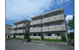 パインリーフ