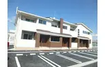 ミオソティス