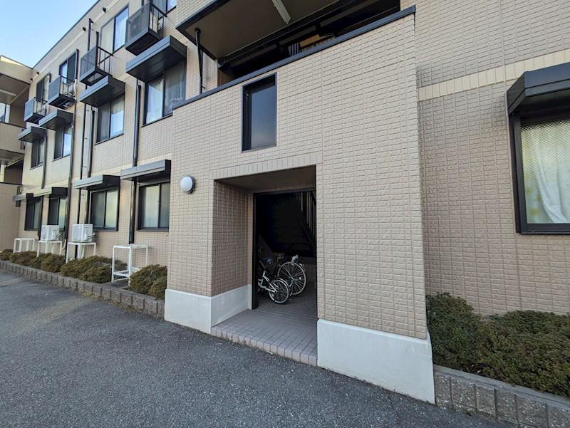 プルーリオン