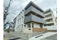 SANSEVIERIA夏原