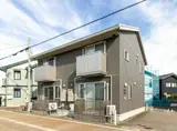 アネシス