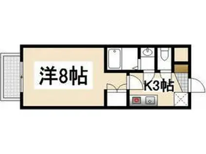 ロアール榎町(1K/6階)の間取り写真