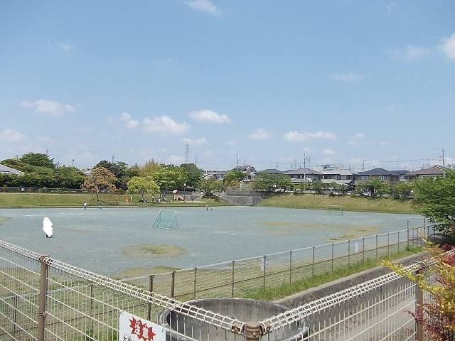 ルピナス