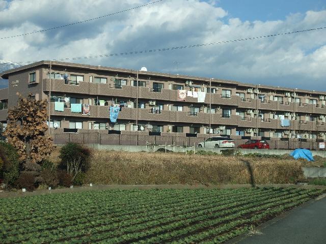 サニーヒル