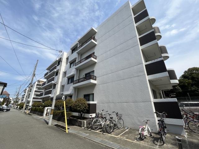 パープルツィン園田
