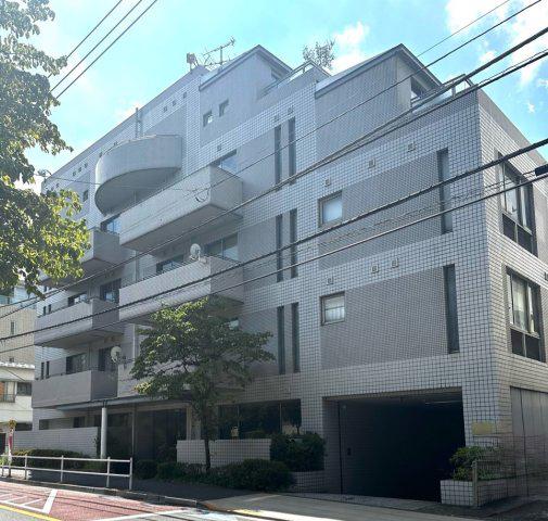 シャネックス