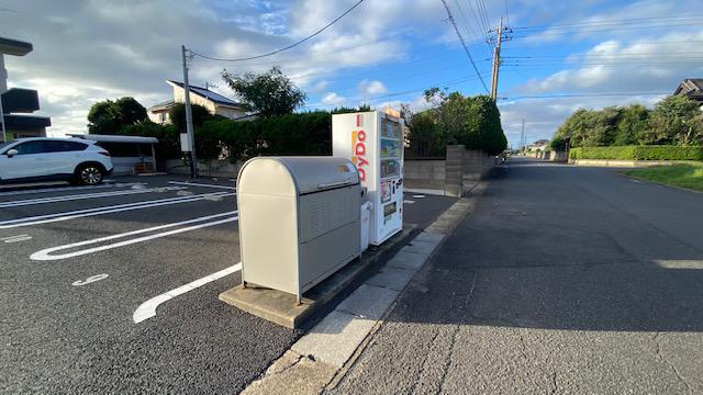 ワンフレンド
