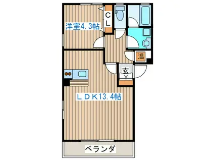 VOLVER T&M V(1LDK/1階)の間取り写真