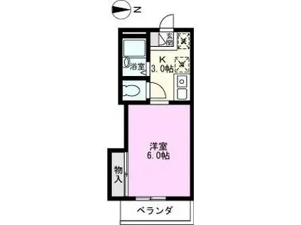 メゾン石神井(1K/2階)の間取り写真