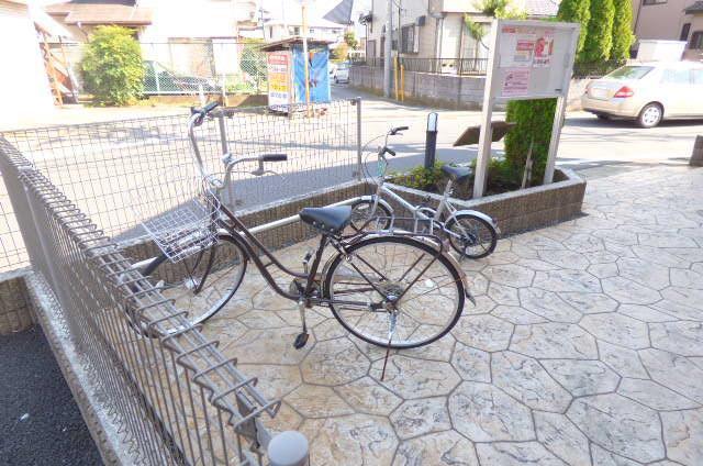 スプリングウィンド