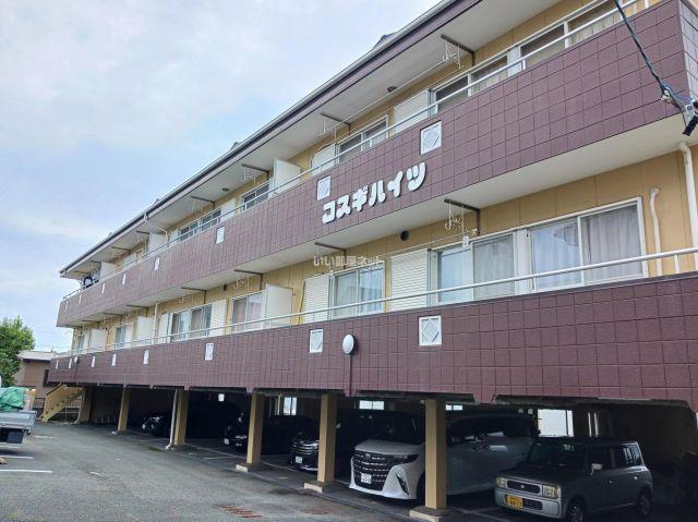 コスギハイツ(3DK/3階)