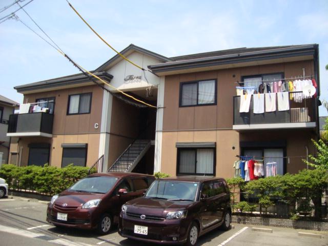 ハイビスカスC