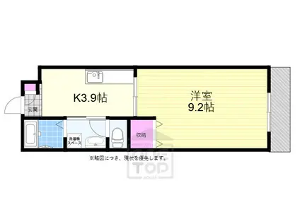 グレイスコート(1K/1階)の間取り写真