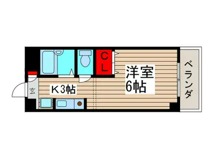 シンセロAKIO(1K/5階)の間取り写真