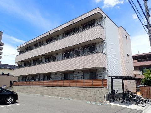 グレース光南