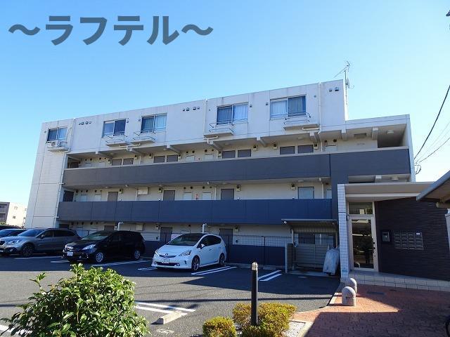 オネスティーユー セレノ