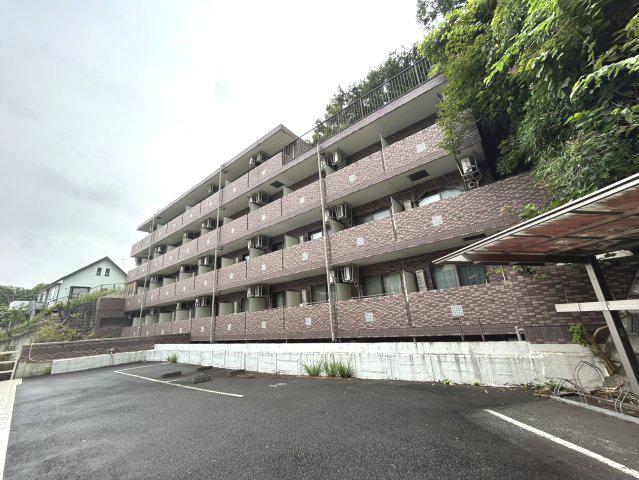 スターダスト晴貞