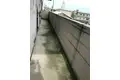 ベルトピアII住吉
