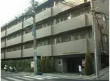 トーシンフェニックス目白