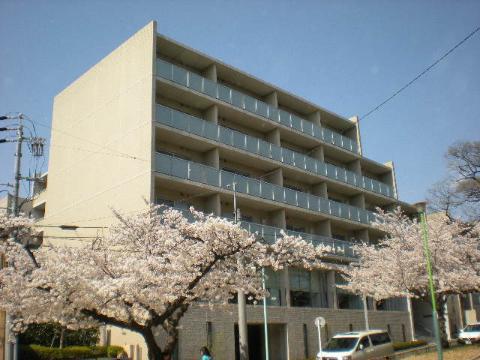 メイビル向陽町