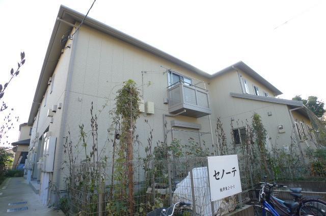 セノーテ