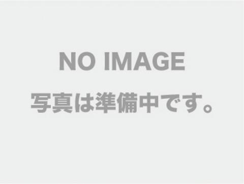 アルクニュースデイ(ワンルーム/1階)