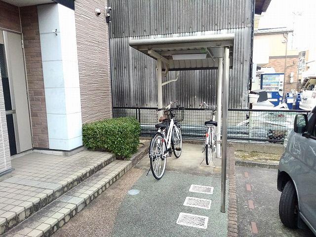 プラシード