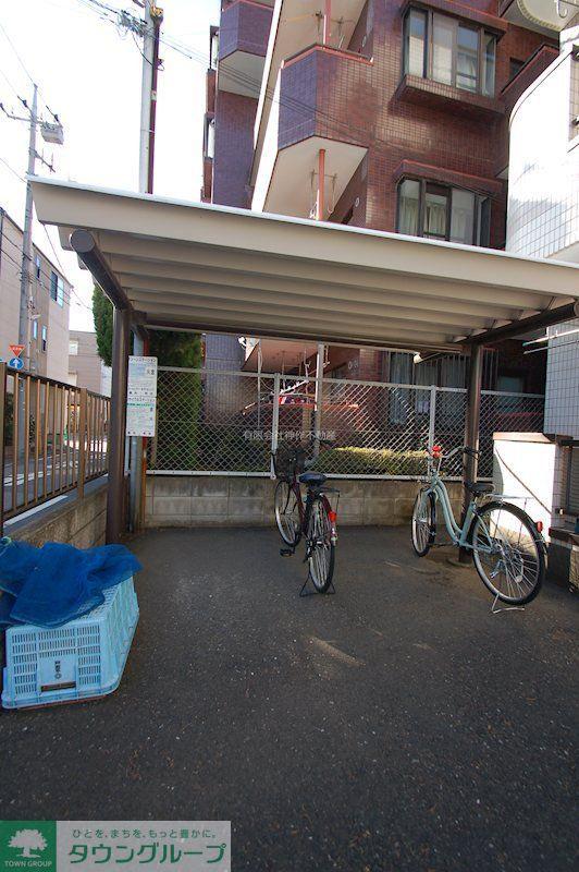 LIV早蕨