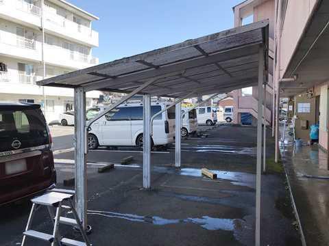 OASIS MAKINO