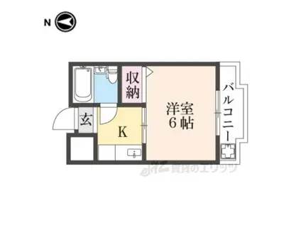 白樺ハイツ大宮3(1K/3階)の間取り写真