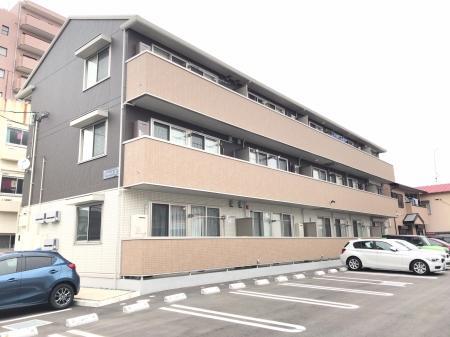 DーROOM元魚