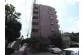アルファコート