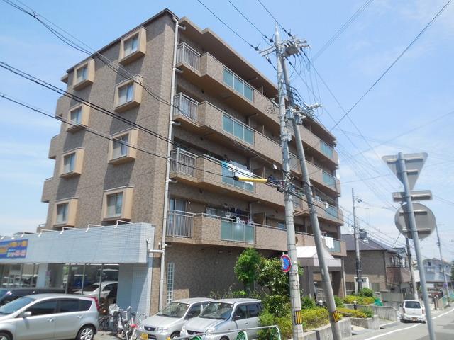 シャン・クラージュ 角 P付