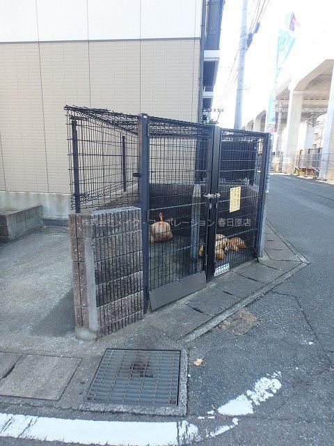 ハウゼ曙B