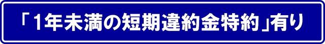ネットフローラ阿波座
