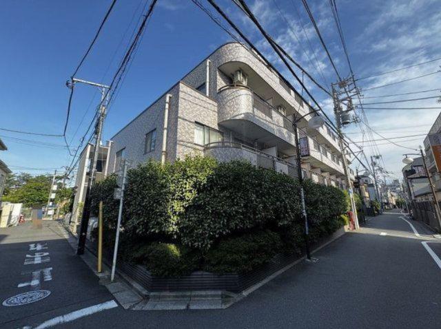 アルカディア大樹